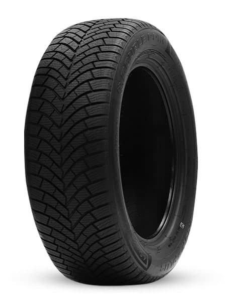 DOUBLE COIN 195/65R15 91H DASP-PLUS - 195/65R15
