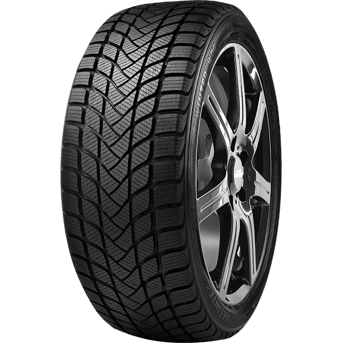 DELINTE 245/45R18 100V WINTER WD6 - 245/45R18
